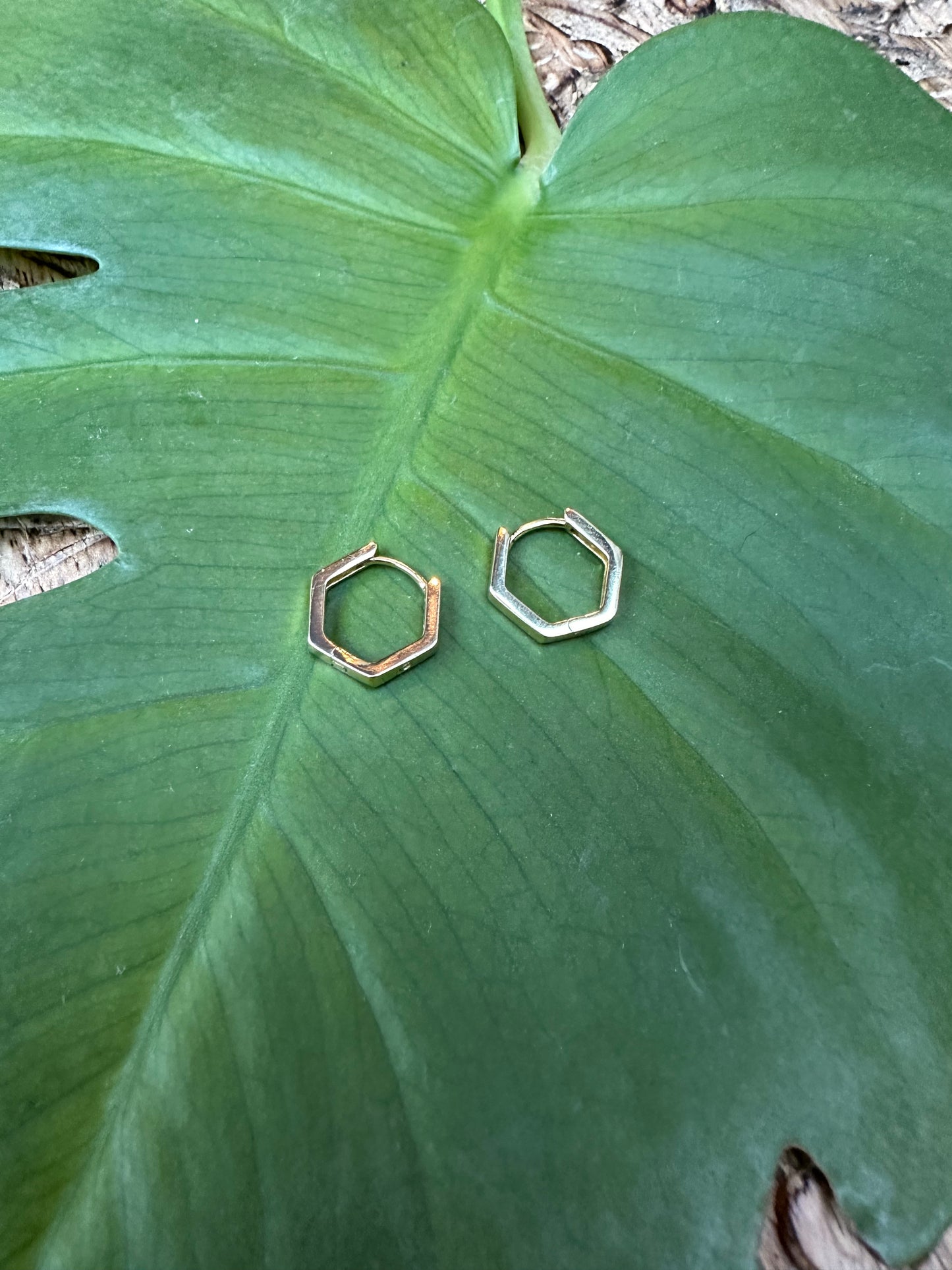 Hexagon Huggie Hoops (Goldfill)