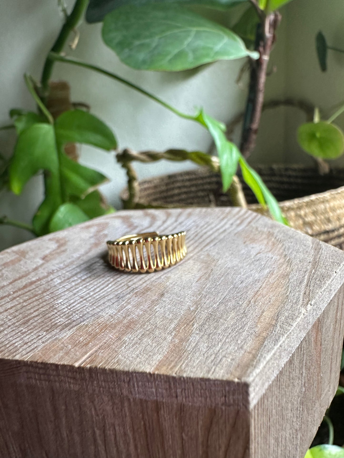 Vertical Band Ring