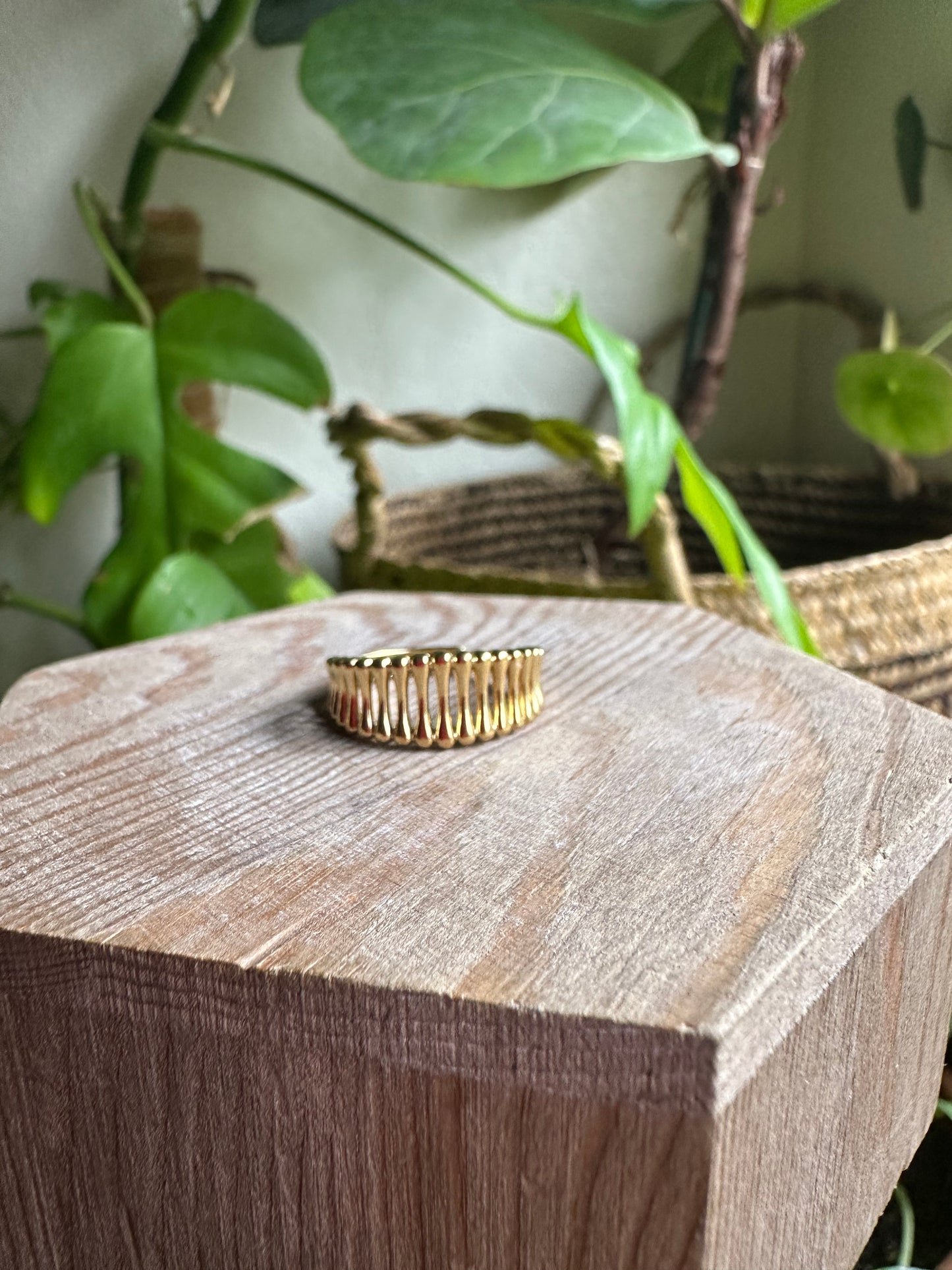 Vertical Band Ring