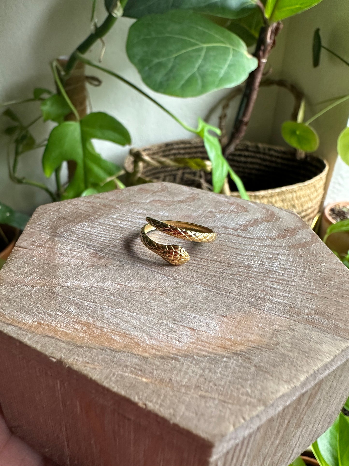 Textured Snake Ring